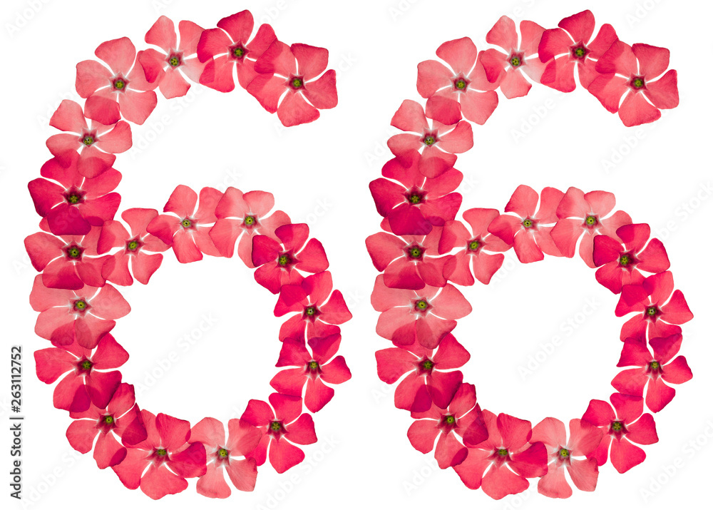 Numeral 66, sixty six, from natural red flowers of periwinkle, isolated on white background