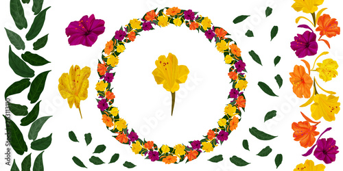 Two seamless patterned brushes of leaves and flowers Mirabilis - night garden flower. A wreath of these two brushes. For fabric design, cards, creating a botanical ornament.