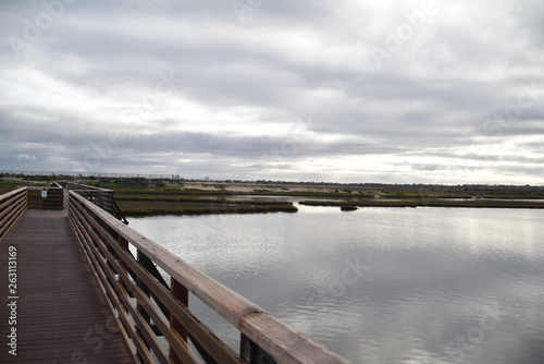 Huntington Beach  CA.  U.S.A. Mar. 3  2019. Bolsa Chica Ecological Reserve.  Tidal estuary  fresh salt water marsh  mud flats  water riparian fowl habitat   rookery for California least tern