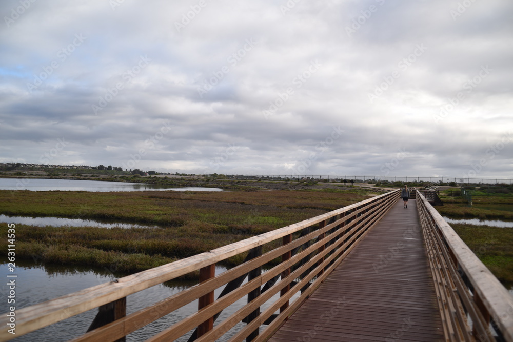 Huntington Beach, CA., U.S.A. Mar. 3, 2019. Bolsa Chica Ecological Reserve.  Tidal estuary, fresh/salt water marsh, mud flats, water/riparian fowl habitat & rookery for California least tern
