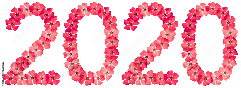 Inscription 2020, from natural red flowers of periwinkle, isolated on white background