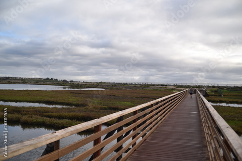 Huntington Beach, CA., U.S.A. Mar. 3, 2019. Bolsa Chica Ecological Reserve. Tidal estuary, fresh/salt water marsh, mud flats, water/riparian fowl habitat & rookery for California least tern