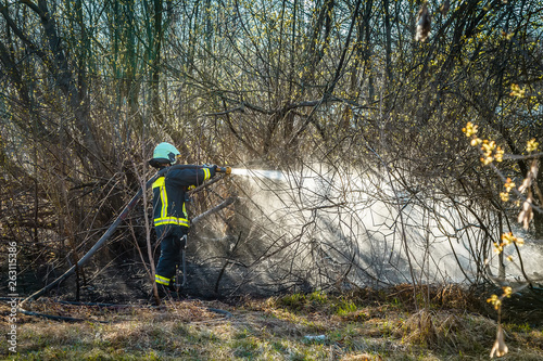 Firefighters work. Burning grass field in the spring