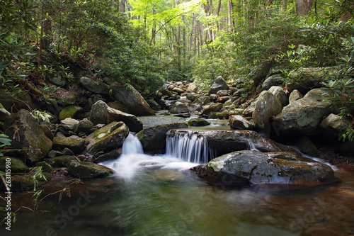 Trailside creek in the Great Smoky Mountains National Park, Tennessee, in early summer. photo
