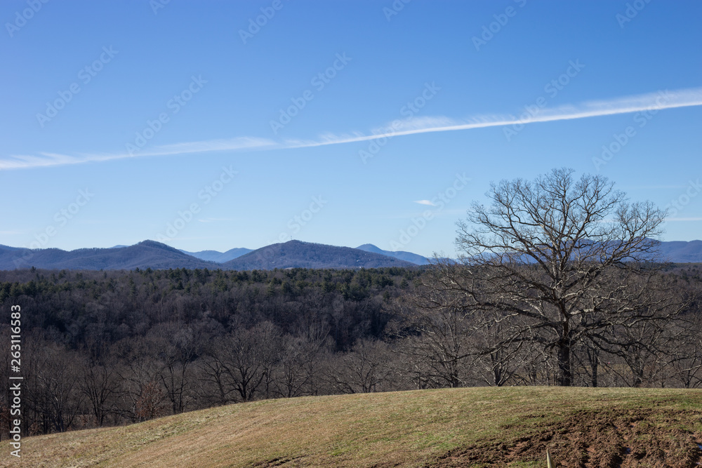 Obraz premium Winter Mountain Overlook