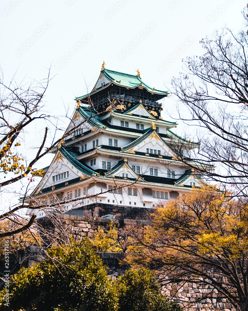 Osaka Castle surrounded with trees and cherry blossoms in Japan Osaka Castle surrounded with trees and cherry blossoms in Japan