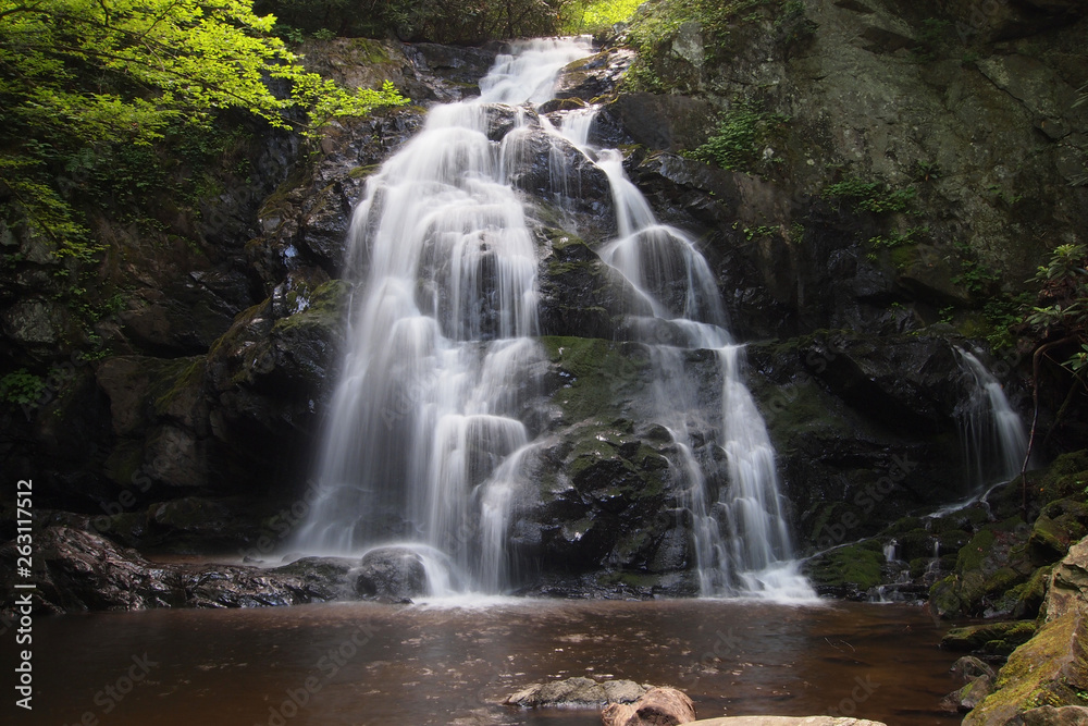 Obraz premium Spruce Flats Falls in the Great Smoky Mountains National Park, Tennessee, in early summer.