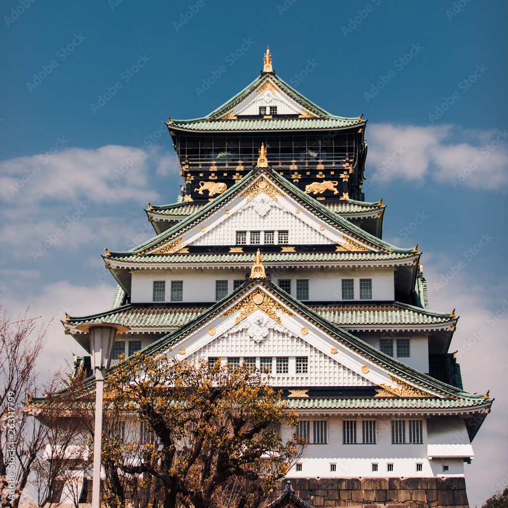 Osaka Castle surrounded with trees and cherry blossoms in Japan Osaka Castle surrounded with trees and cherry blossoms in Japan