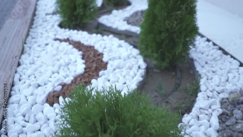 A path of white ornamental decorative stones with evergreen tree. Beautifully landscaped courtyard
