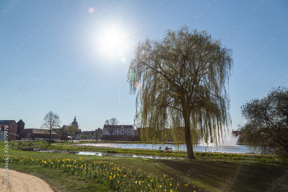 Dosseteich in Wittstock