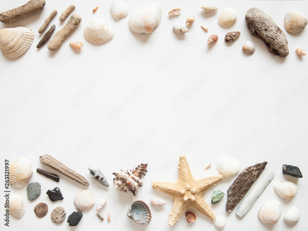 White light background with seashells and sea stars for the site frame for text. Journey to the sea is a memory. White light background with seashells and sea stars for the site frame for text. Journey to the sea is a memory.