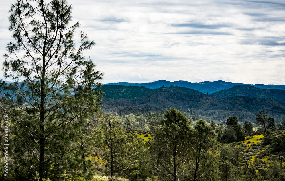 Central California Landscape