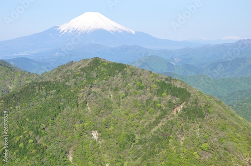 山の緑に富士山