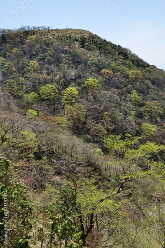 新緑の山稜 花立