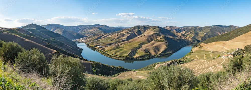 View of the terraced vineyards in the Douro Valley - obrazy, fototapety, plakaty 