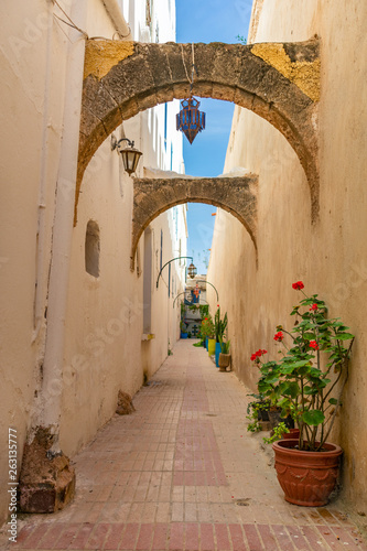Narrow Outdoor Passage with Potted Plants in Essaouira Morocco