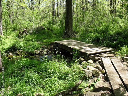 Small bridge crossing a creek along the Appalachian Trail