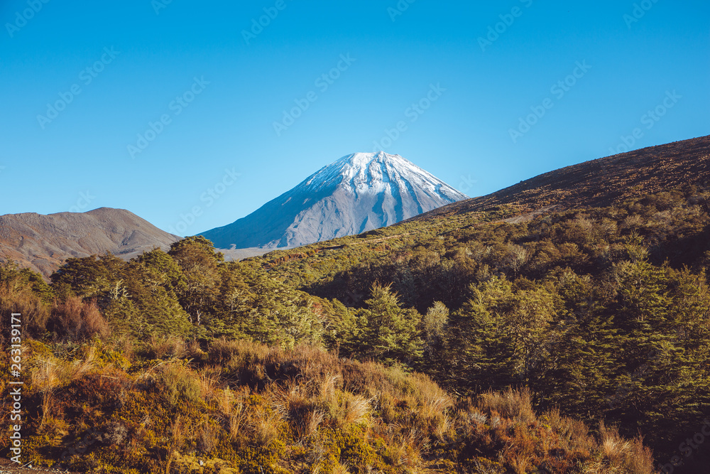 Fototapeta premium Mount Ngaurohoe, Tongariro National Park 