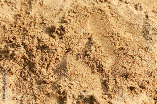 Sand texture or background and coppy space.