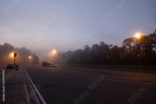 Foggy Road