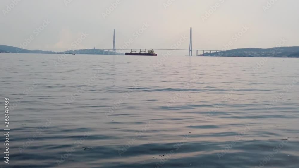 slow motion sea landscape with seagulls. Beauty of nature
