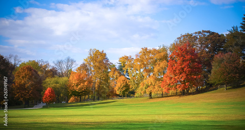 autumn in the park