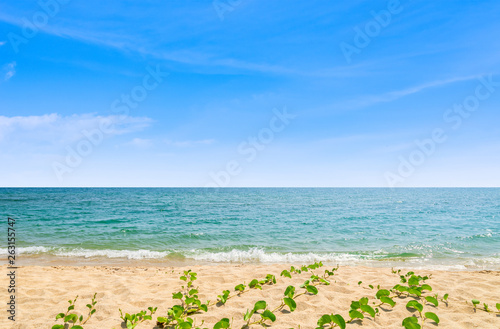 Abstract beach background. Yellow sand  blue sky