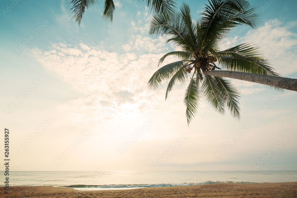 Vintage nature background - Landscape of coconut palm tree on tropical beach in summer. Summer background concept. retro instagram filter effect