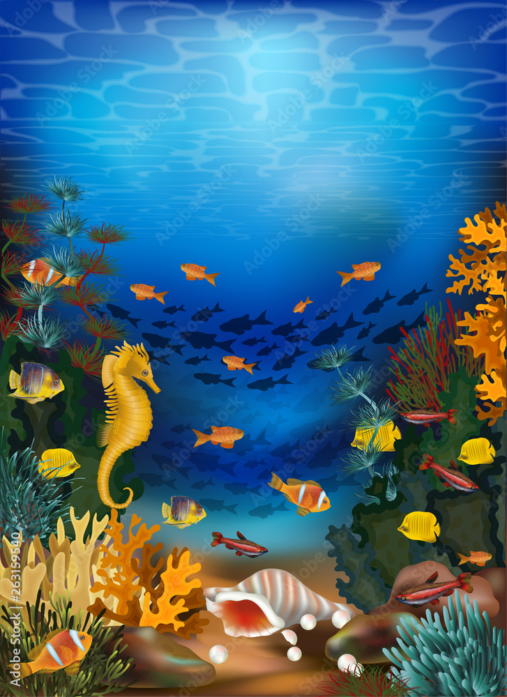 Underwater card with seashell and tropical fish, vector illustration