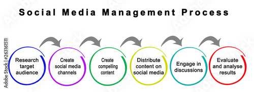 Obraz na plátne Social Media Management Process.