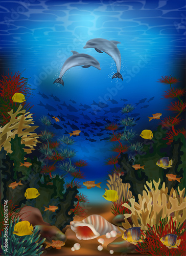 Fototapeta Naklejka Na Ścianę i Meble -  Underwater wallpaper with dolphins and seashell, vector illustration