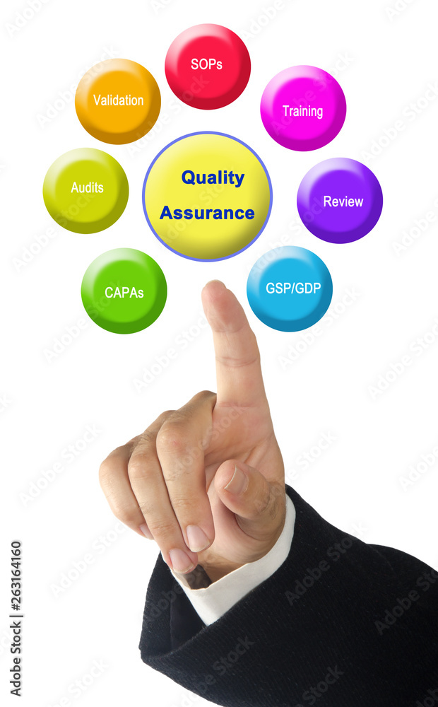 Components of Quality Assurance Components of Quality Assurance