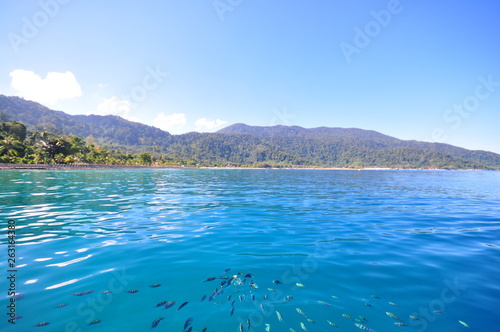 Beautiful island beach. View of tropical beach with several fish in a clear blue lagoon. Holiday and vacation concept.