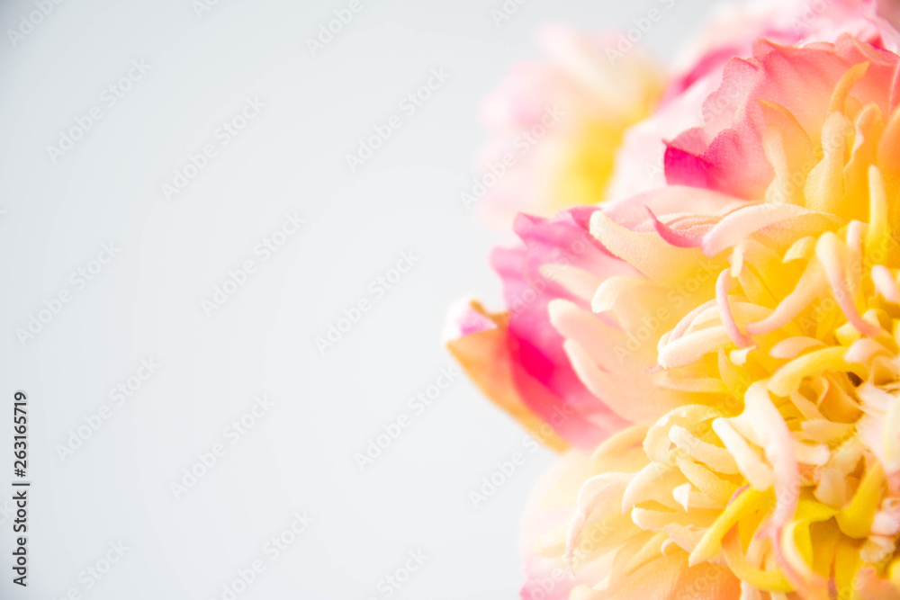 beautiful artificial flowers on white background. Art soft focus