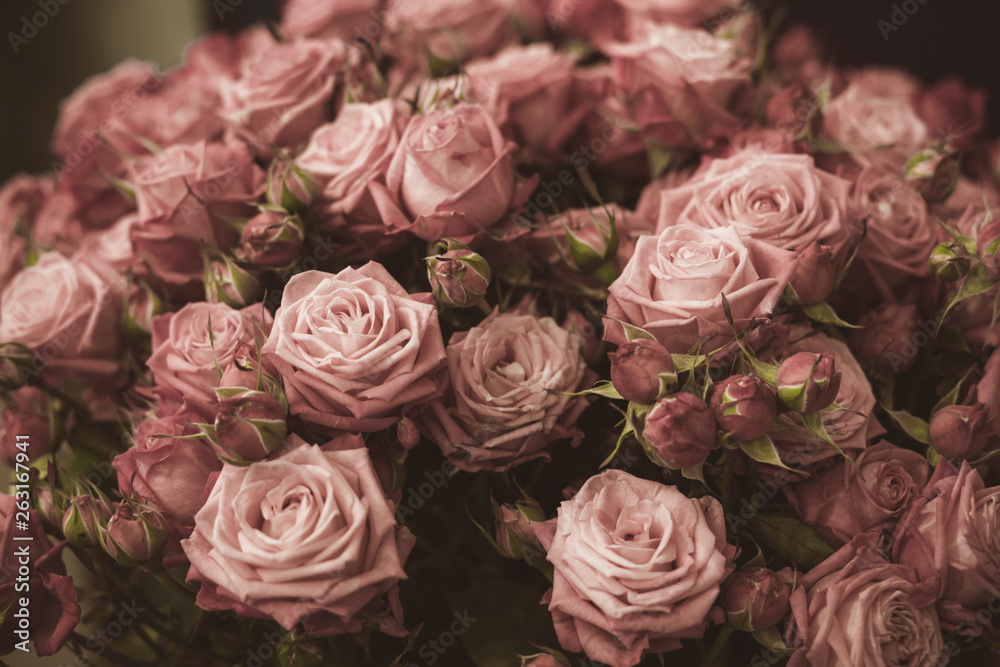 Fototapeta premium Tekstura różowe róże. Zdjęcie jest przetwarzane w stylu vintage, tonowanie i lekkie rozmycie.