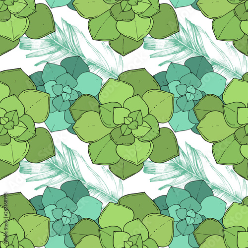 Vector Succulents floral botanical flower. Engraved ink art. Seamless background pattern.