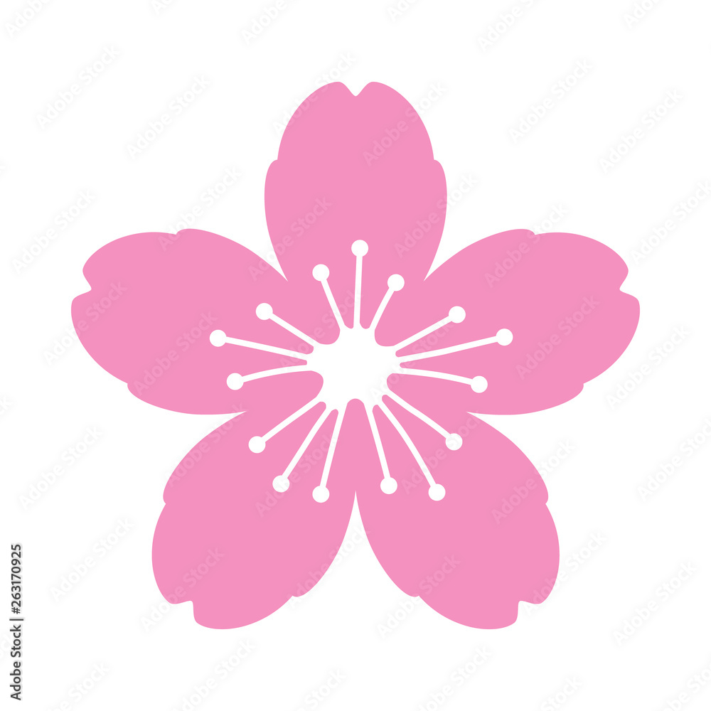 Cherry blossom flower or sakura flat vector pink icon for apps and websites Cherry blossom flower or sakura flat vector pink icon for apps and websites