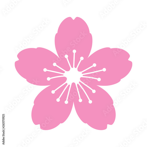 Cherry blossom flower or sakura flat vector pink icon for apps and websites