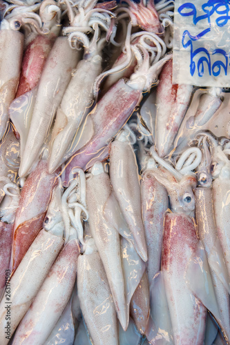 Stack of many fresh squid on fish market jetty. For seafood, food, kitchen, texture and background.
