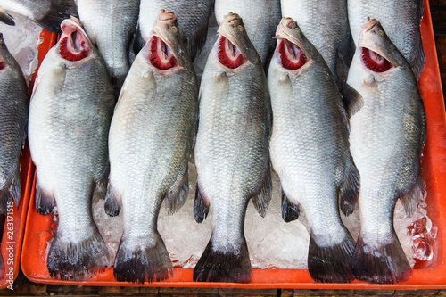 Stack of fresh snapper fish from sea at fish market jetty. For seafood, food, kitchen, texture and background.