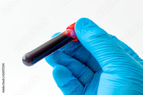 Blood analysis, clinical or medical testing and phlebotomy concept theme with close up on doctor hand wearing blue latex gloves and holding a test tube isolated on white background photo