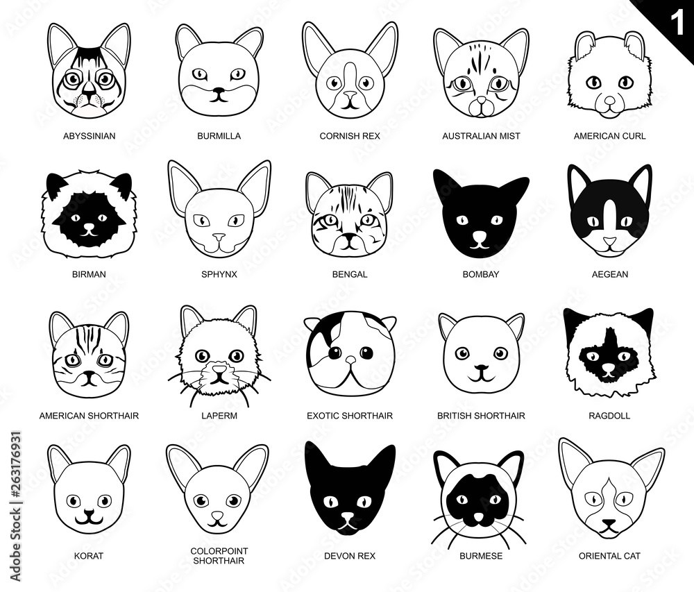 Cat Faces Icon Cartoon Black and white