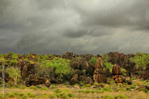 Kimberley landscape in rainy season