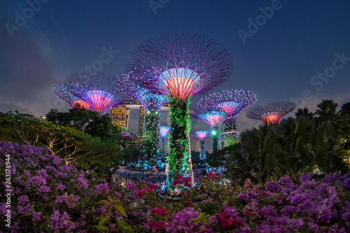 Singapore - April 16: Traveller go to see the amazing illumination of Super tree grove lights and sound show at Garden by the Bay on April 16,2019.