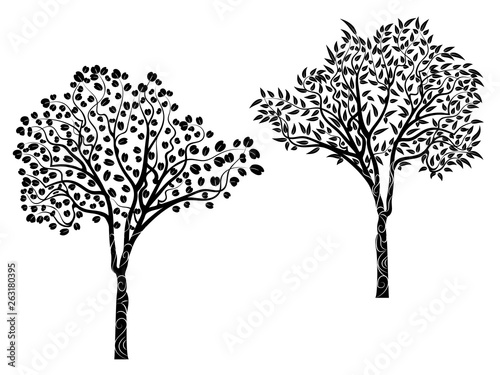 Eucalyptus tree design