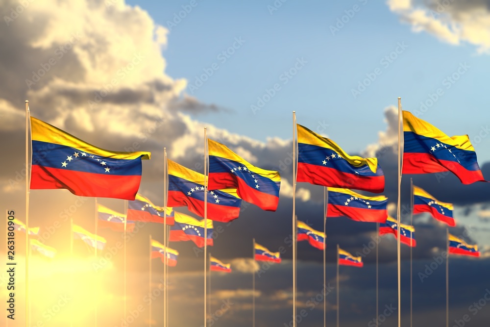 pretty many Venezuela flags on sunset placed in row with soft focus and space for content - any occasion flag 3d illustration.. pretty many Venezuela flags on sunset placed in row with soft focus and space for content - any occasion flag 3d illustration..