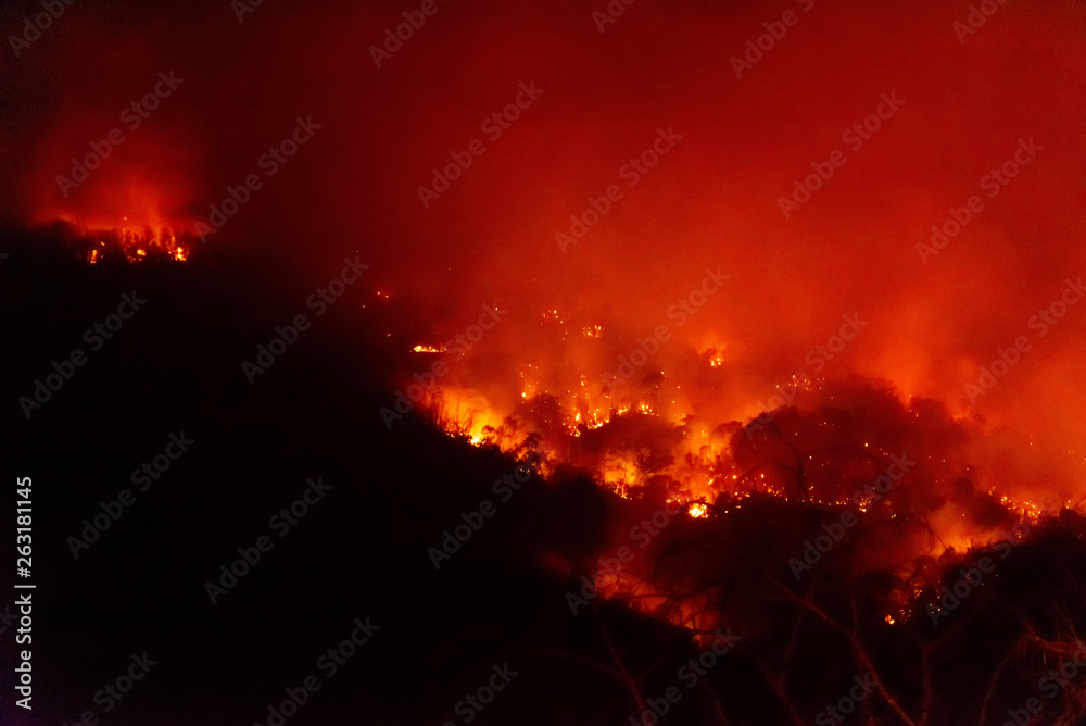 Forest fire disater problem.Fire burns trees in the mountain at night.