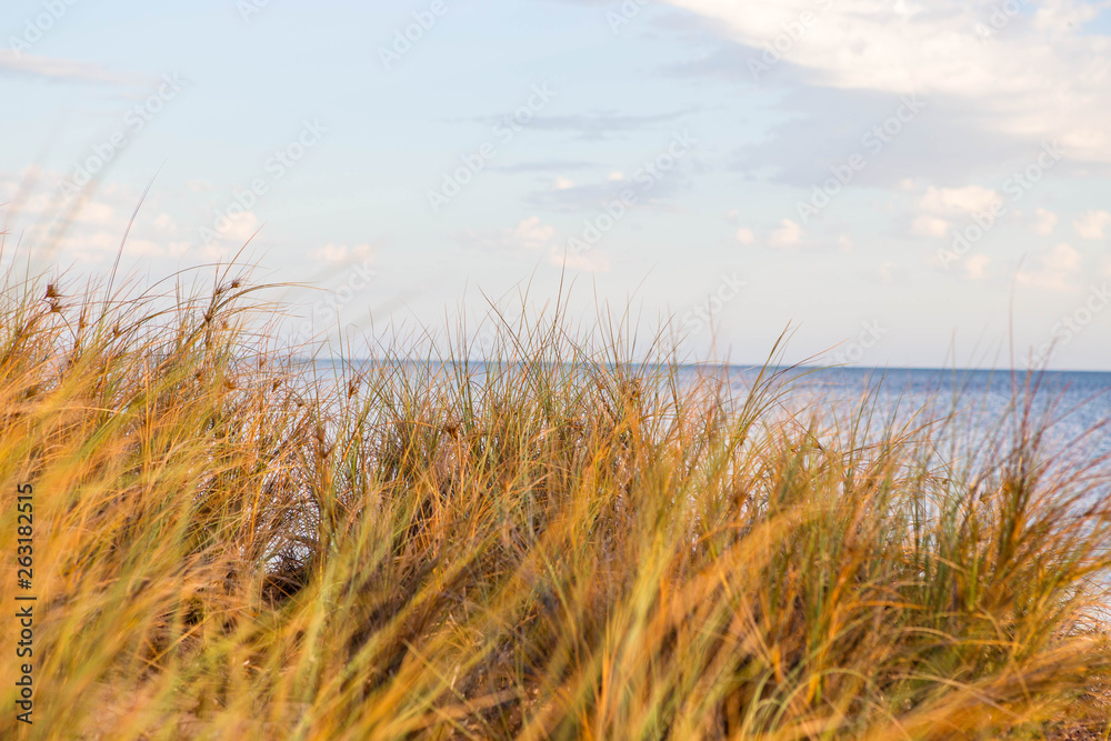 Obraz premium Morning colors