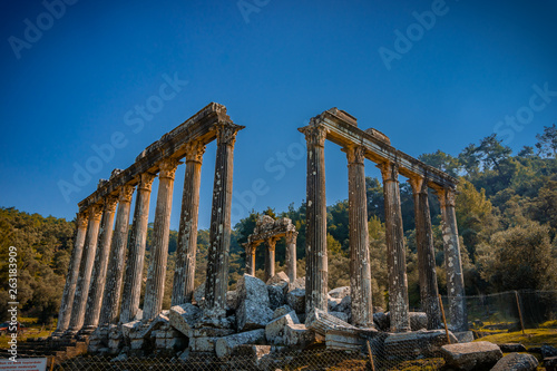 Temple of Zeus Lepsinos. Euromus (Euromos) Ancient City, Milas, Mugla, Turkey.