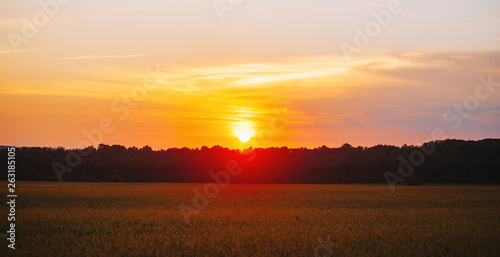 Photo of a beautiful sunset on filed, colorful sunset, nature landscape
